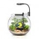 NUBIOS Desktop Betta Bowl Kit 4L BURGHAM Bowl