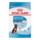 PROMOCLAIMRC - FÃ©vrier - GRAND CHIOT 30 LB 13.6 KG ROYAL CANIN Nourritures sèches