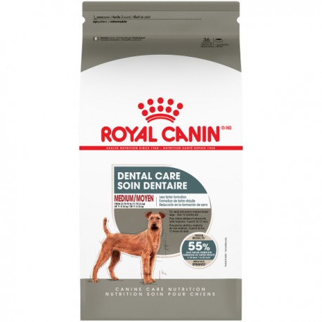 PROMOCLAIMRC - FÃ©vrier - MEDIUM Dental Care / MOYEN Soin D ROYAL CANIN Nourritures sèches