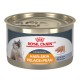 Intense Beauty / Beaute IntenseLOAF / PATE  5.1oz 145 g ROYAL CANIN Nourritures en conserve