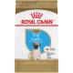 Carlin Chiot 2,5 lbs ROYAL CANIN Nourritures sèches