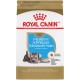 Schnauzer nain chiot 2.5 lbs ROYAL CANIN Nourritures sèches