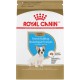 Bouledogue francais chiot 4,8 kg ROYAL CANIN Nourritures sèches