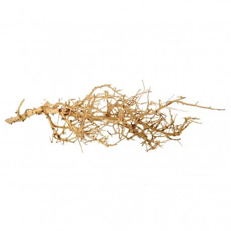 UT Bird Nest Wood MD UNDERWATER TREASURES Accessoires divers