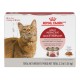 Adulte instinctif multi-pack tranches en sauce 3 oz ROYAL CANIN Canned Food