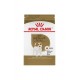 Jack Russell Terrier Adult / Jack Russell Terrier Adulte 10 ROYAL CANIN Dry Food