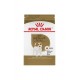 Jack Russell Terrier Adult 10 lb 4,5 kg ROYAL CANIN Dry Food