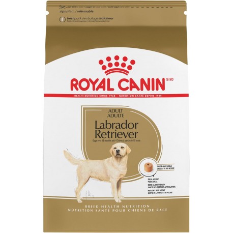 Labrador Retriever Adult / Labrador Retreiver Adulte 17 LBS ROYAL CANIN Nourritures sèches