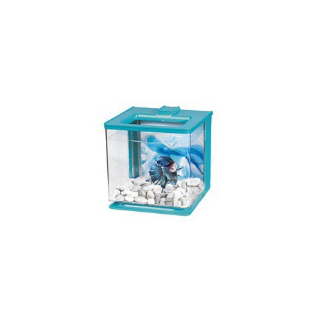 Aq EZCare MA betta, 2,5L (0,7gal),bleu MARINA Aquariums Kit