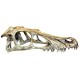 Komodo Raptor Skull Small KOMODO Decorations