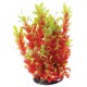 "Red Ludwigia - 10"""