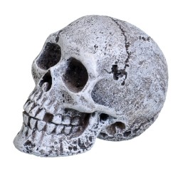 Mini Skull