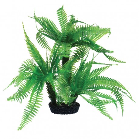 "Jurassic Fern - 10"""