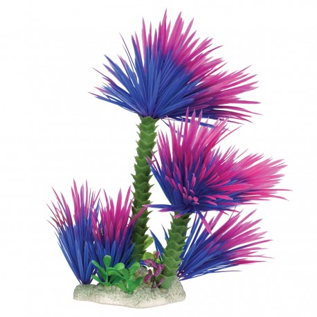 "Water Palm - Purple - 12"""