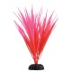 "Rose Nile Grass - 7.5"""