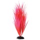 "Rose Nile Grass - 11.5"""