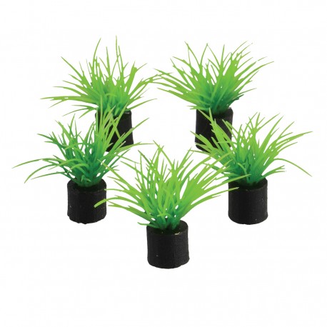 "Mini Plant - Green Grass - 1.5"" - 5 pk"