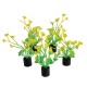 "Mini Plant - Yellow and Green - 2"" - 5 pk"