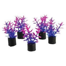 "Mini Plant - Violet - 1.5"" - 5 pk"