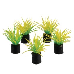 "Mini Plant - Spring Grass - 1.25"" - 5 pk"