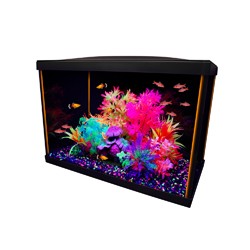 Aquarium equipe iGlo, 75 L (20 gal US) GLO Aquariums équipés