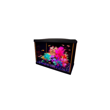 Aquarium equipe iGlo, 75 L (20 gal US) GLO Aquariums équipés