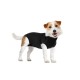 Suitical Recovery Suit - Dog - Black XS  Lingerie