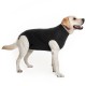 Suitical Recovery Suit - Dog - Black M  Lingerie