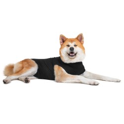 Suitical Recovery Suit - Dog - Black L  Lingerie