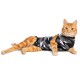 Suitical Recovery Suit - Cat - Black Camo XS  Lingerie