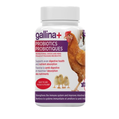 GALLINA+PROBIOTIQUES BACI Farm products