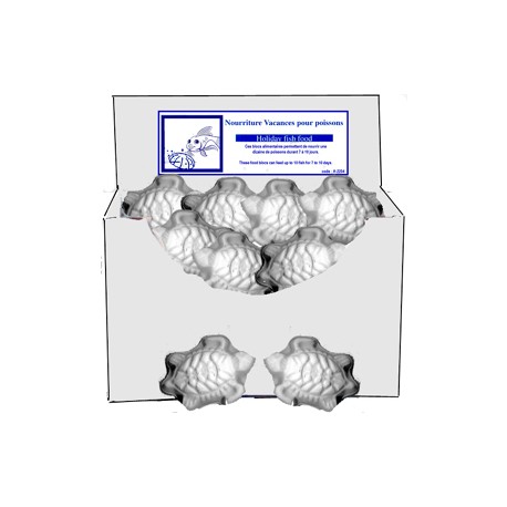 BLOCS NOURRITURE VACANCES TORTUES boîte **x50** (vrac)