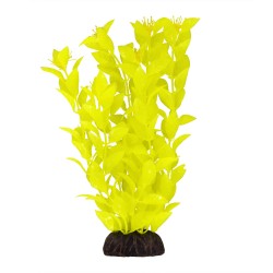 "Ludwigia - Yellow - 8"""