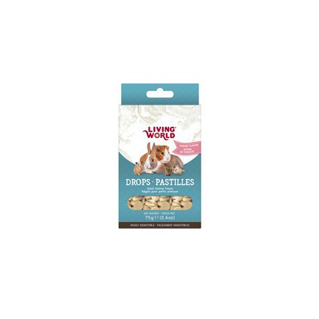 PROMO - DÃ©cembre - Pastilles LW petits ani., yogourt, 75g LIVING WORLD Friandises