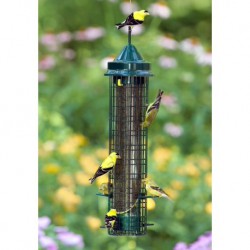 SQUIRREL BUSTER® FINCH 1.5L  Mangeoires