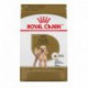 PROMOCLAIMRC - DÃ©cembre - Poodle Adult / Caniche Adulte 10 ROYAL CANIN Nourritures sèches