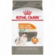 SMALL Coat Care/ PETIT Soin Pelage 17 lb 7  7 kg ROYAL CANIN Nourritures sèches