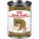 Labrador Retriever       LOAF IN SAUCE/PATE EN SAUCE 13 5 ROYAL CANIN Canned Food