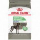 PROMOCLAIMRC - FÃ©vrier - LARGE Digestive Care / GRAND Soin ROYAL CANIN Nourritures sèches