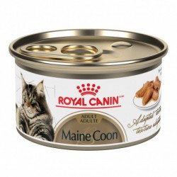 Maine CoonTHIN SLICES IN GRAVY / TRANCHES EN SAUCE 3 oz 85 g ROYAL CANIN Nourritures en conserve