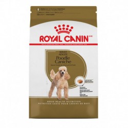 PROMOCLAIMRC - DÃ©cembre - Poodle Adult / Caniche Adulte 2 ROYAL CANIN Nourritures sèches