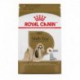 PROMOCLAIMRC - DÃ©cembre - Shih Tzu Adult / Shih Tzu Adulte ROYAL CANIN Nourritures sèches