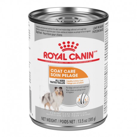 SMALL Coat / PETIT Pelage        LOAF IN SAUCE/PÂTÉ EN SAUCE ROYAL CANIN Nourritures en conserve