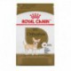 PROMOCLAIMRC - DÃ©cembre - Chihuahua Adult / Chihuahua Adul ROYAL CANIN Nourritures sèches