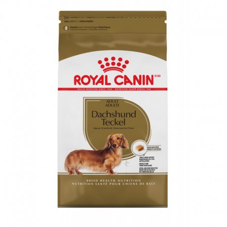 Dachshund Adult / Teckel Adulte 10 lb 4  5 kg ROYAL CANIN Dry Food