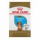 Dachshund Puppy / Teckel Chiot 2 5 lbs 1 1 kg ROYAL CANIN Nourritures Sèches
