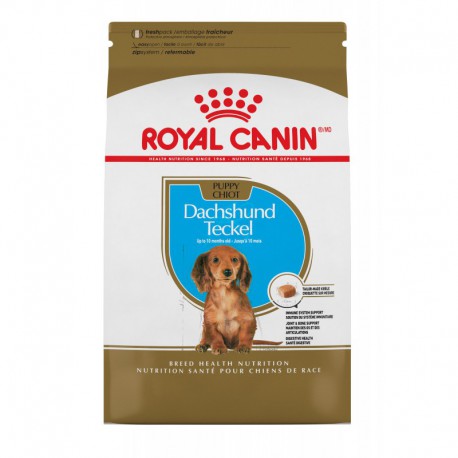 Dachshund Puppy / Teckel Chiot 2 5 lbs 1 1 kg ROYAL CANIN Dry Food