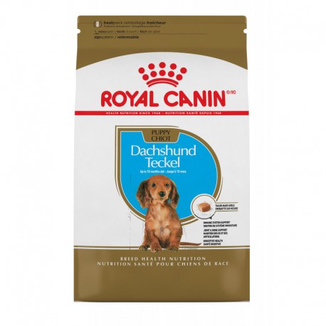 PROMOCLAIMRC - Septembre - Dachshund Puppy / Teckel Chiot 2 ROYAL CANIN Nourritures sèches