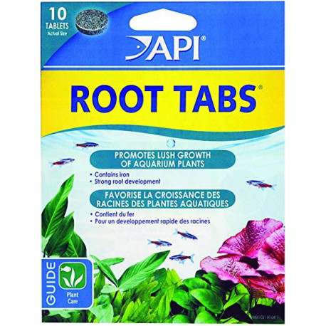 TEMP DISC API 577C Root Tabs 10pc API Produits traitements