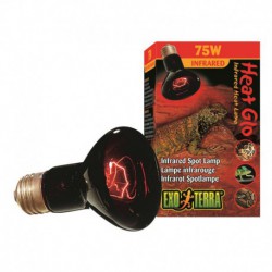 75W Heat-Glo Lamp.Infrar.Noct.-V EXO TERRA Lighting solutions